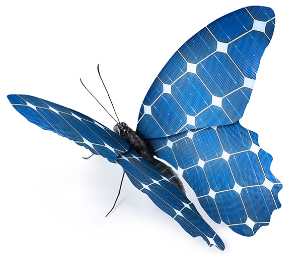 Solar-Schmetterling